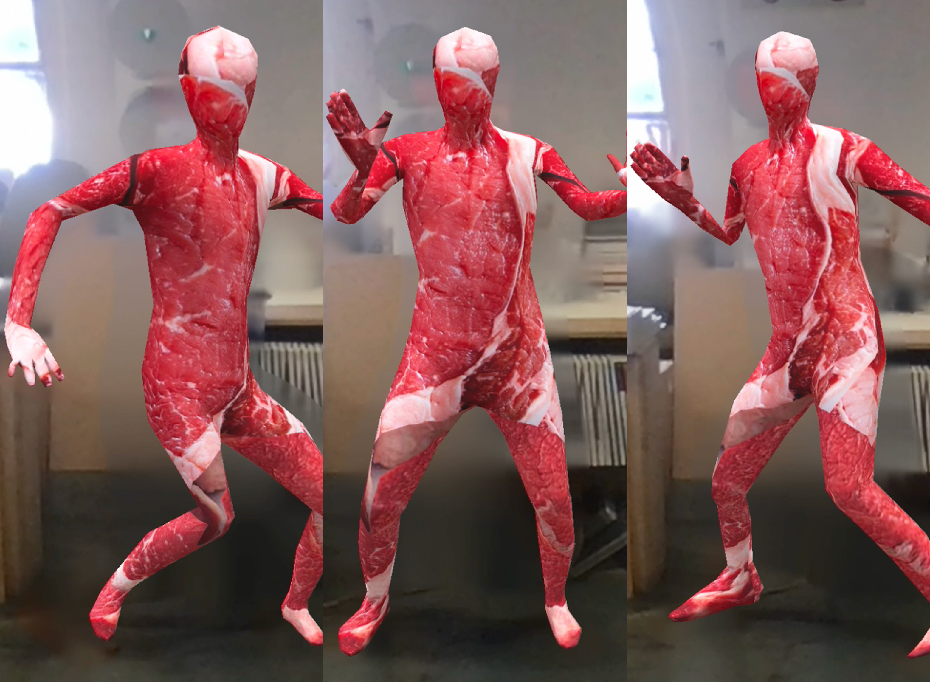 Technoflesh performance project