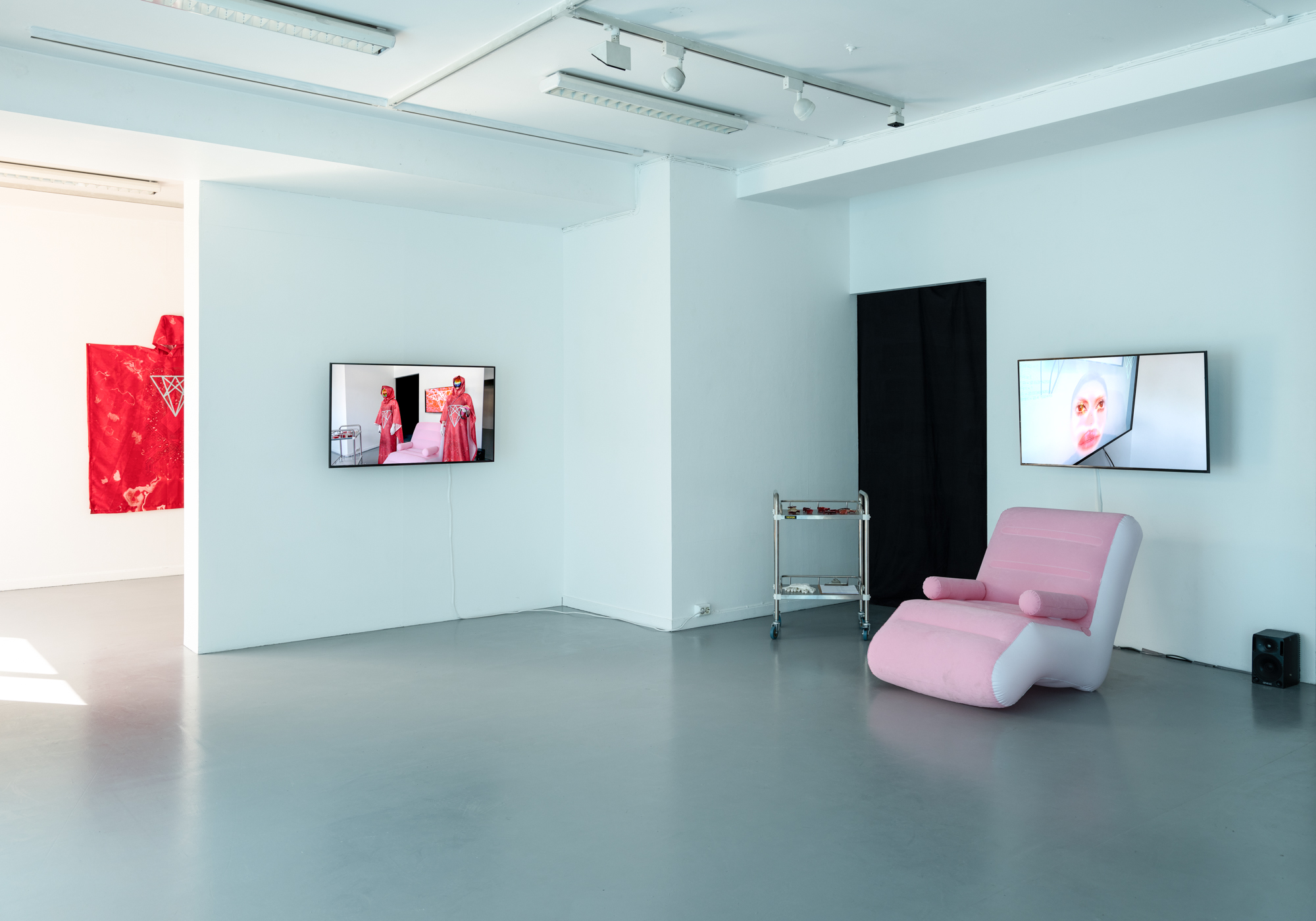 Technoflesh performance project