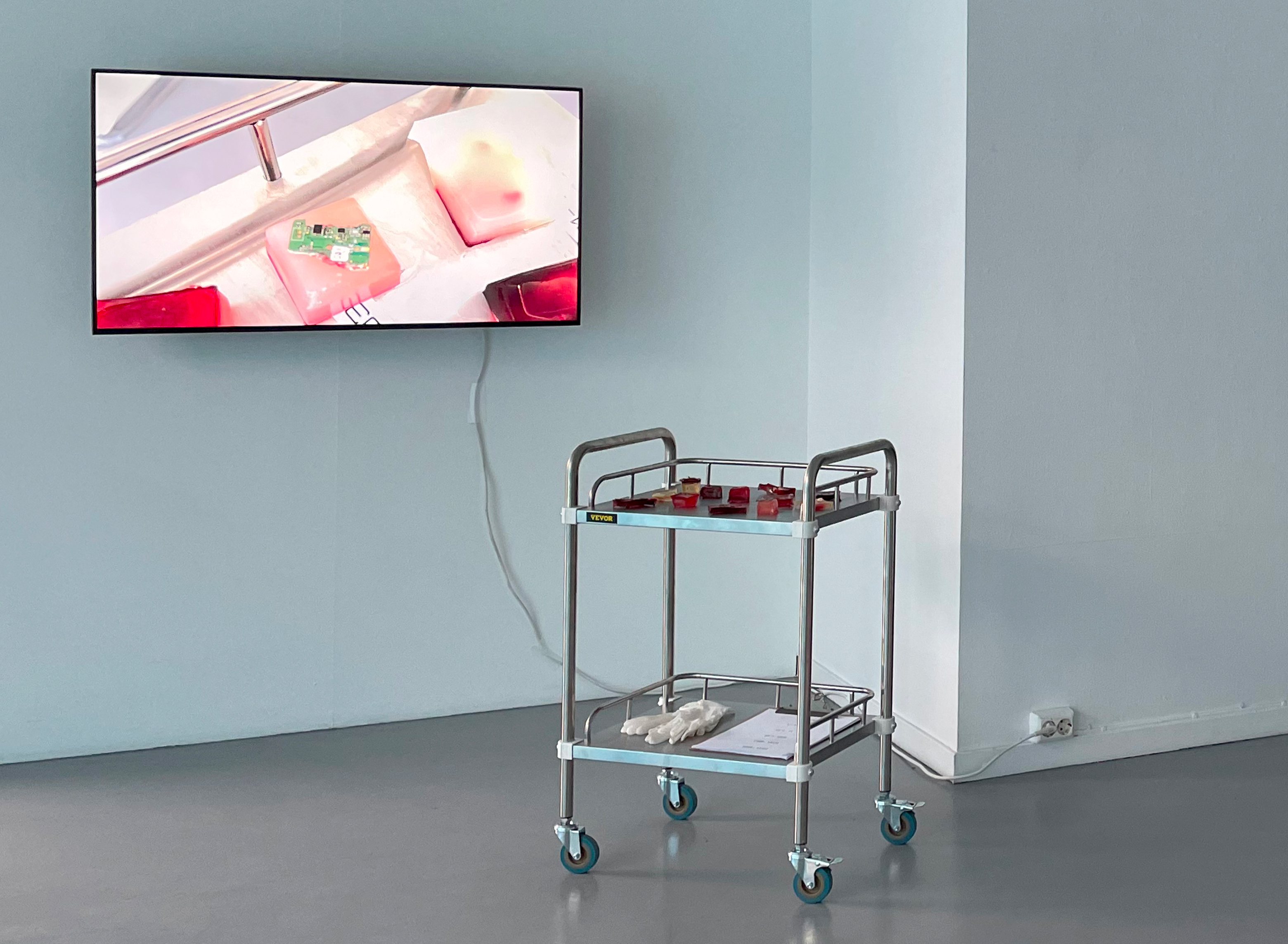 Technoflesh performance project