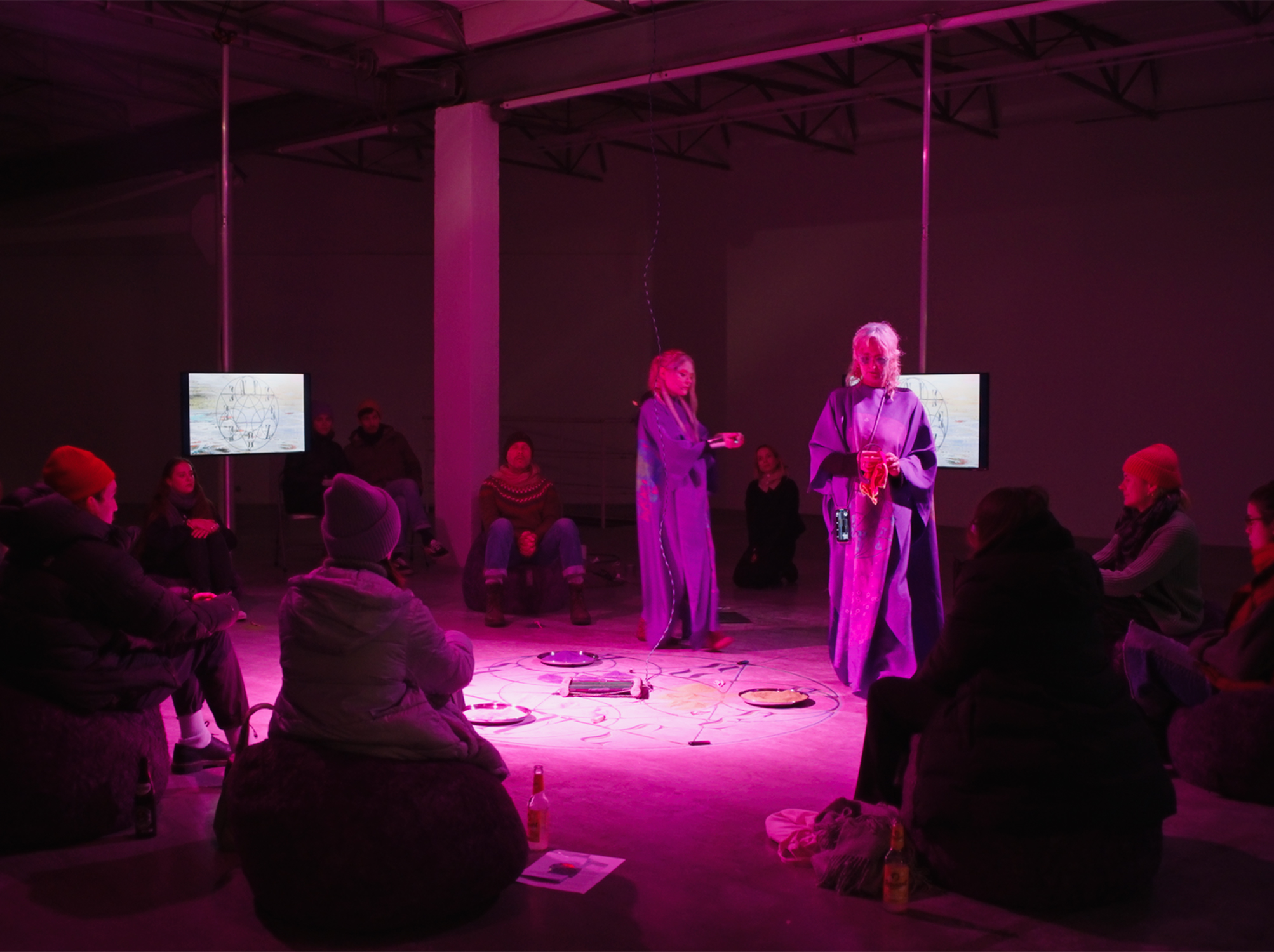 Technoflesh performance project